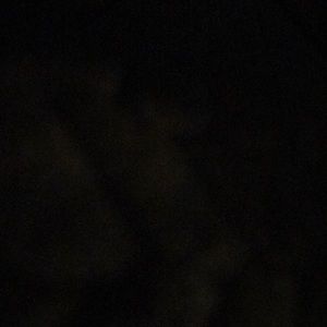 Meet your Posher, Paul